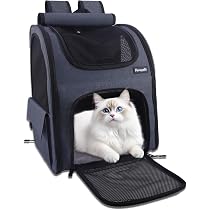 Amazon.co.jp: Honeypet ペットキャリーバッグ 猫バッグ 犬キャリー